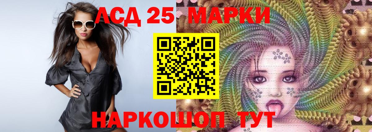 Кингисепп  Лсд 25 экстази  Вход с VPN  ЛСД экстази кислота 