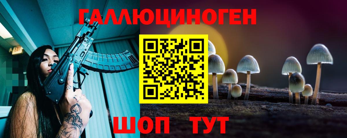Галлюциногенные грибы Psilocybe  Вход с VPN  Кингисепп 